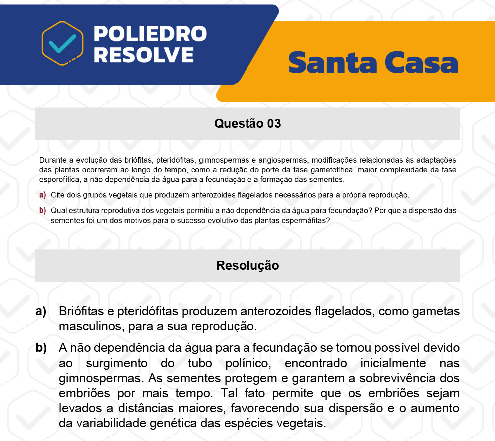 Dissertativa 3 - 2º Dia - Santa Casa 2023