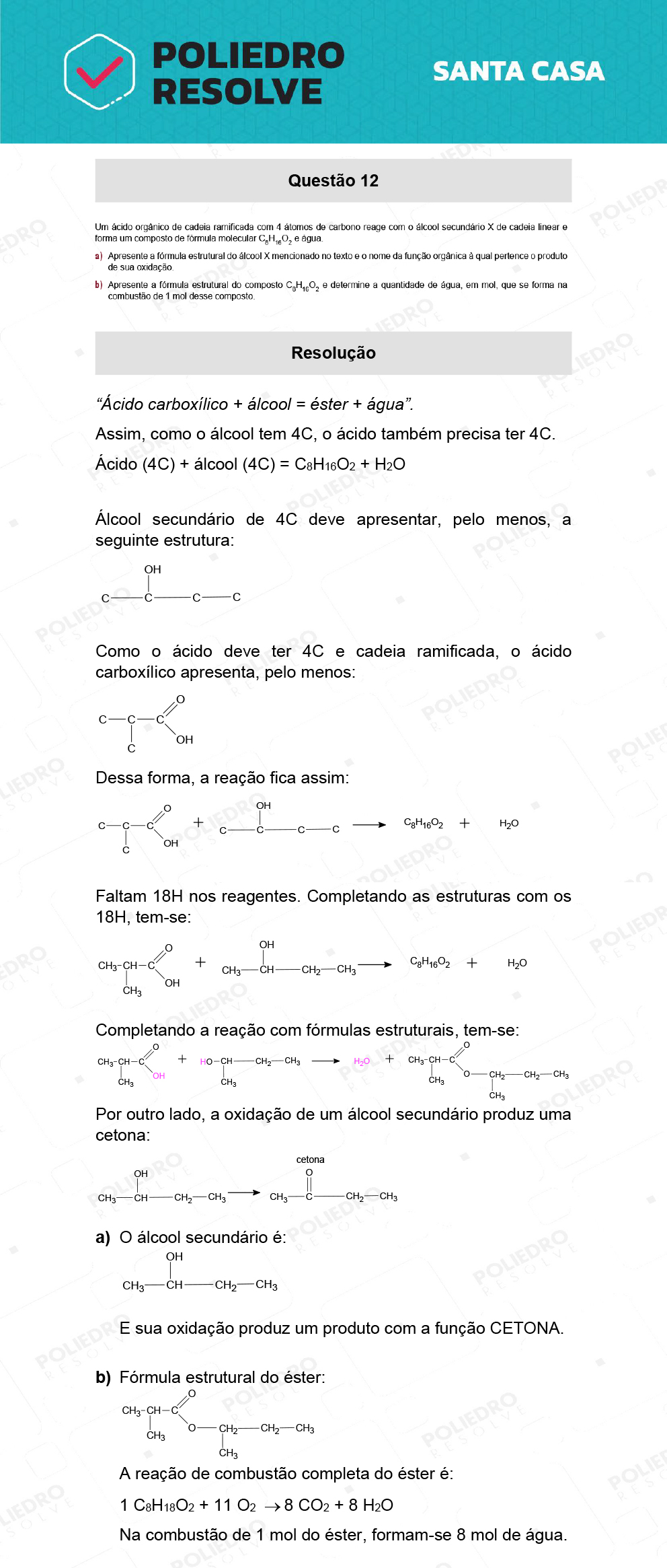 Dissertativa 12 - 2º Dia - Santa Casa 2022