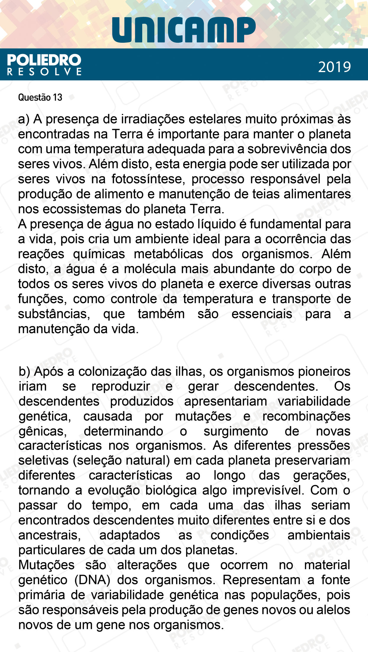 Dissertativa 13 - 2ª Fase - 3º Dia - Unicamp 2019