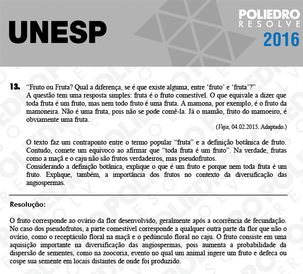 Dissertativa 13 - 2ª Fase - Unesp 2016