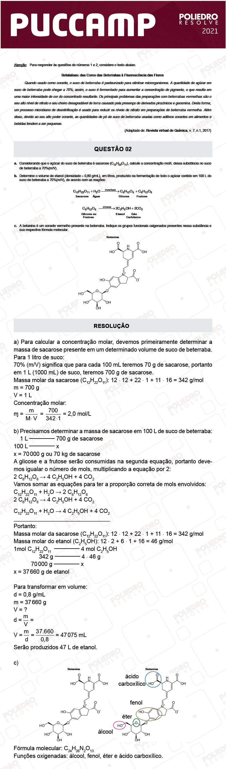 Dissertativa 2 - MEDICINA - PUC Campinas 2021