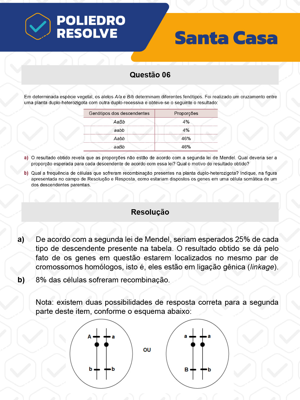 Dissertativa 6 - 2º Dia - Santa Casa 2023
