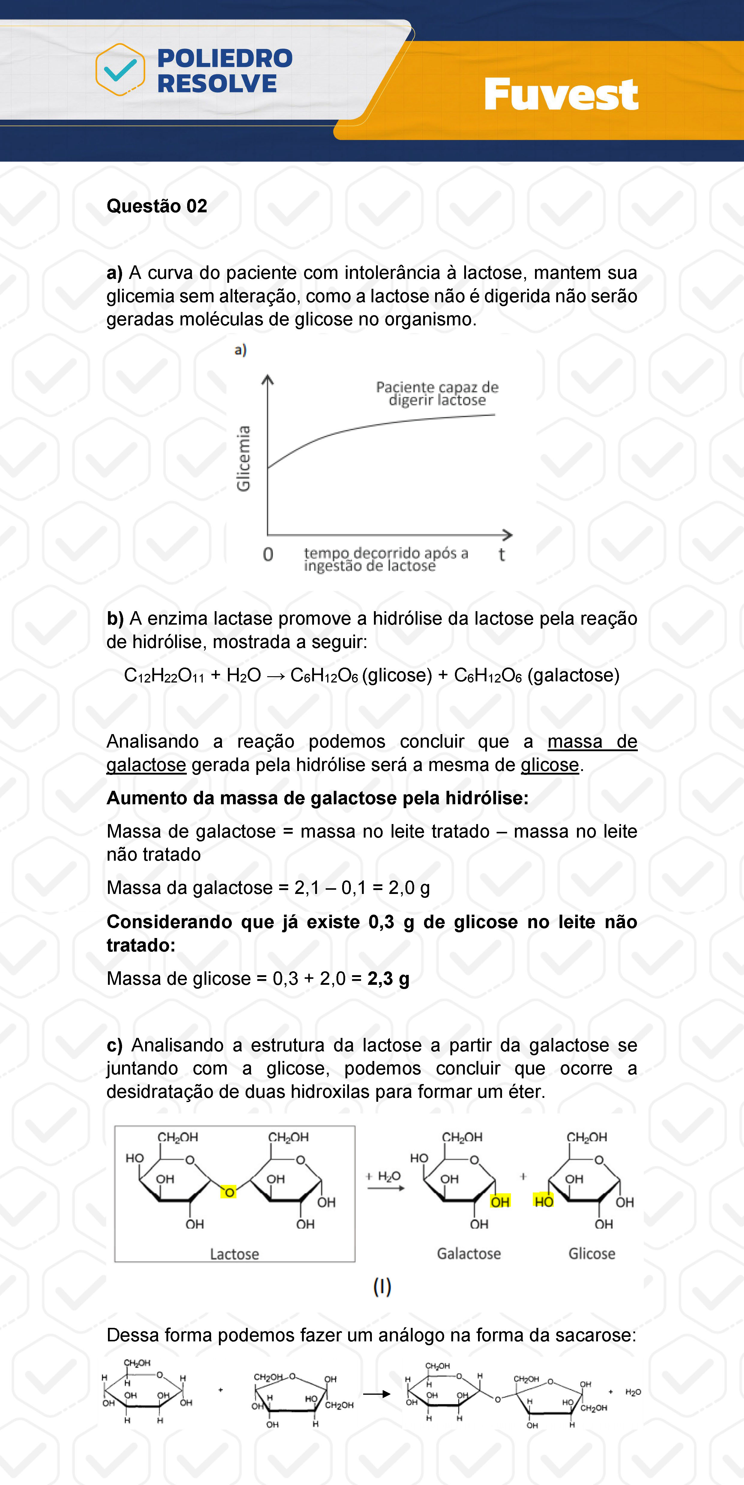 Dissertativa 2 - 2ª Fase - 2º Dia - Fuvest 2024