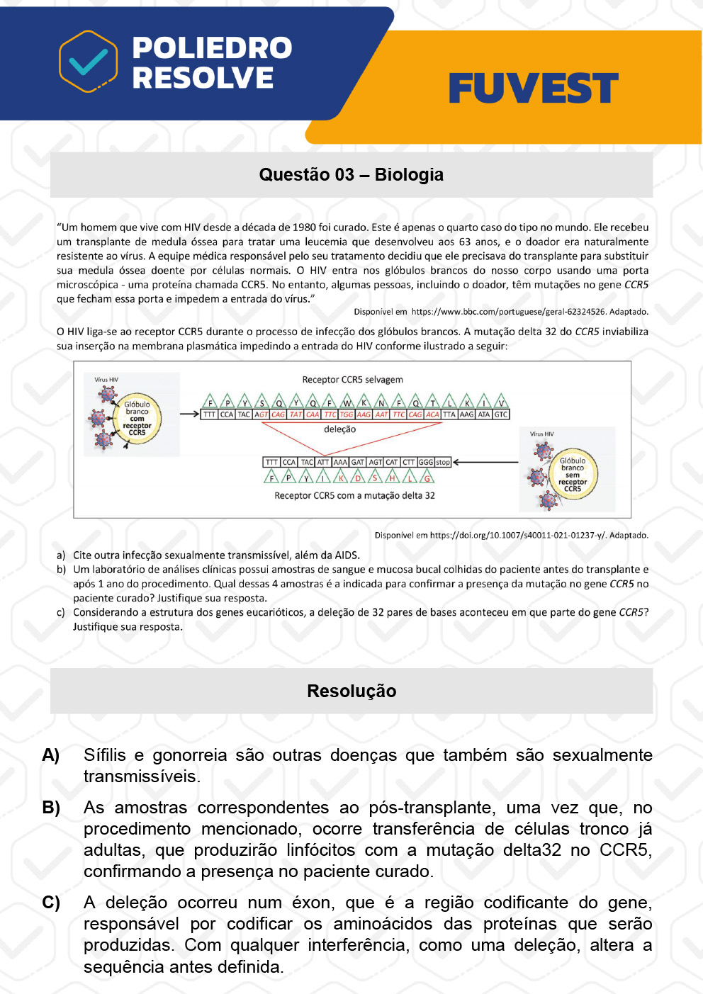 Dissertativa 3 - 2ª Fase - 2º Dia - Fuvest 2023