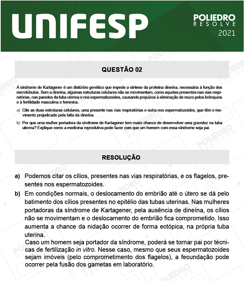 Dissertativa 2 - Fase única - 2º Dia - Unifesp 2021
