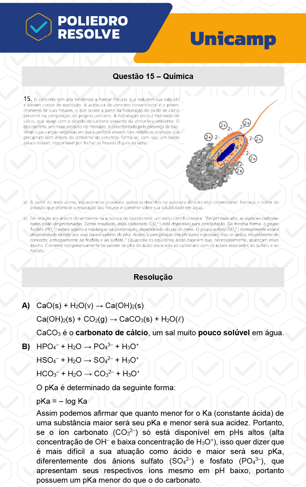 Dissertativa 15 - 2ª Fase - 2º Dia - Unicamp 2023