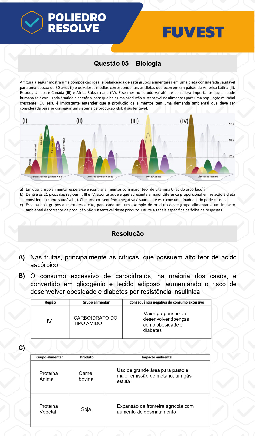 Dissertativa 5 - 2ª Fase - 2º Dia - Fuvest 2023