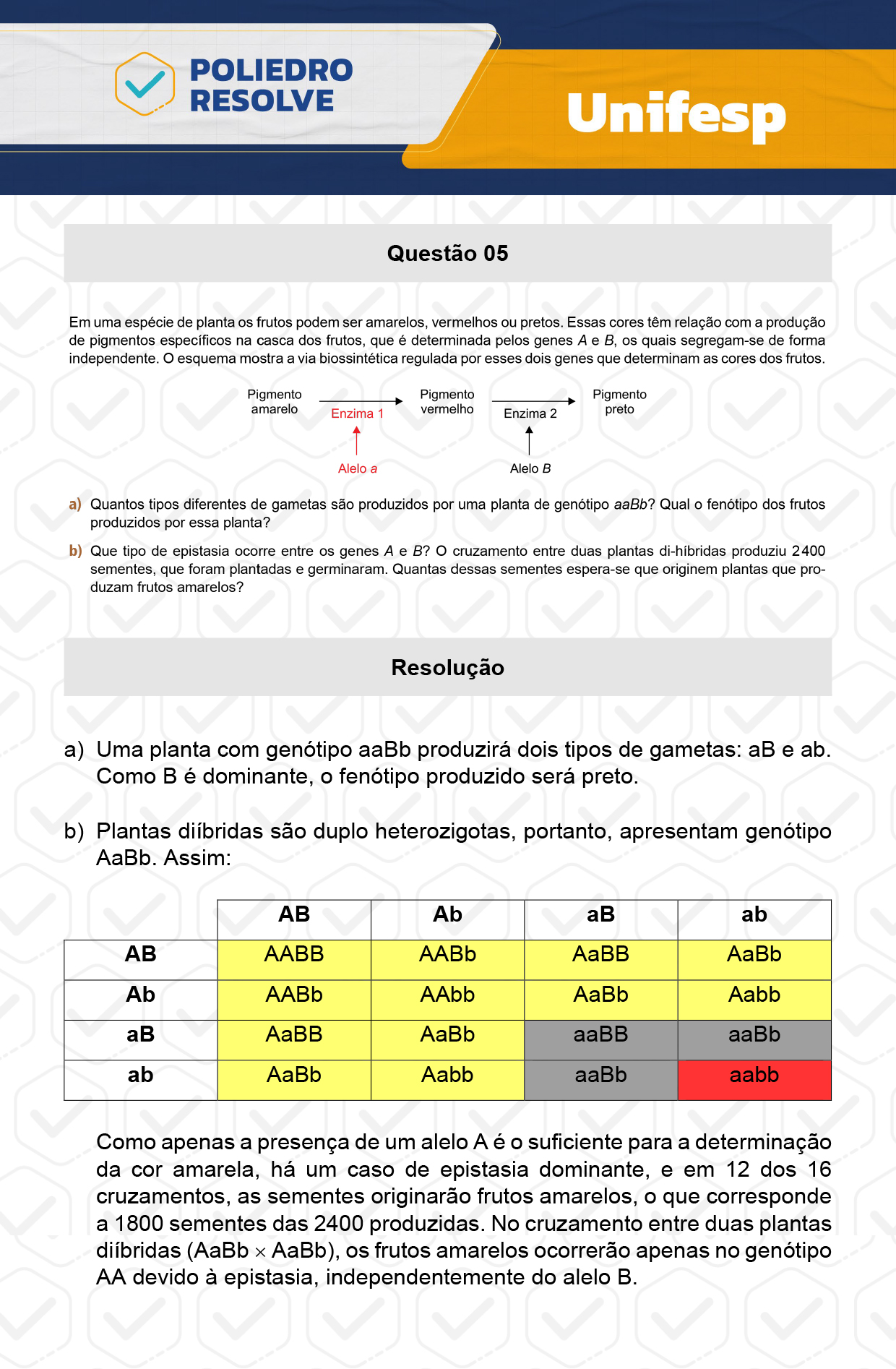 Dissertativa 5 - 2º Dia - Unifesp 2024