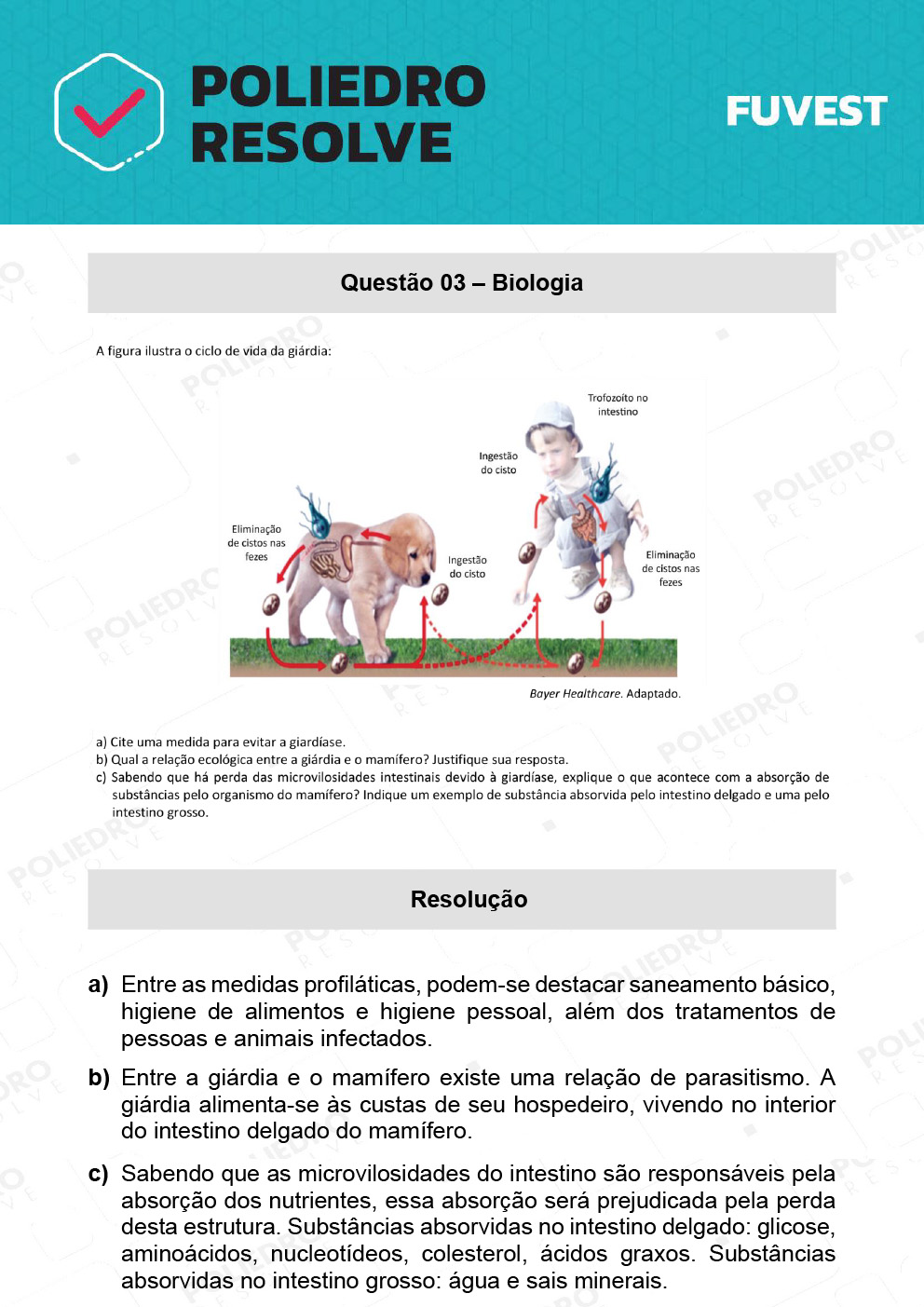 Dissertativa 3 - 2ª Fase - 2º Dia - Fuvest 2022