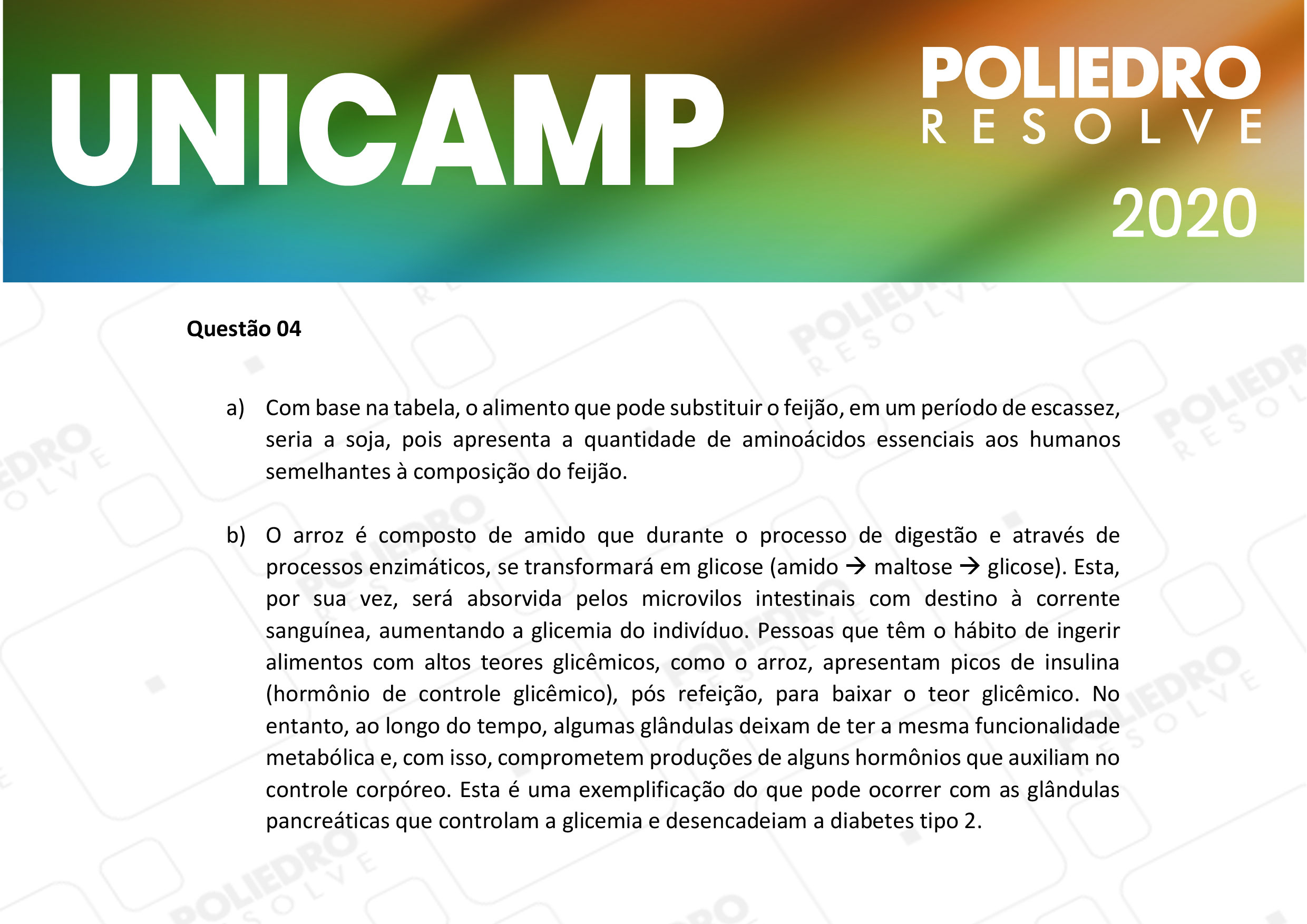 Dissertativa 4 - 2ª Fase - 2º Dia - Unicamp 2020