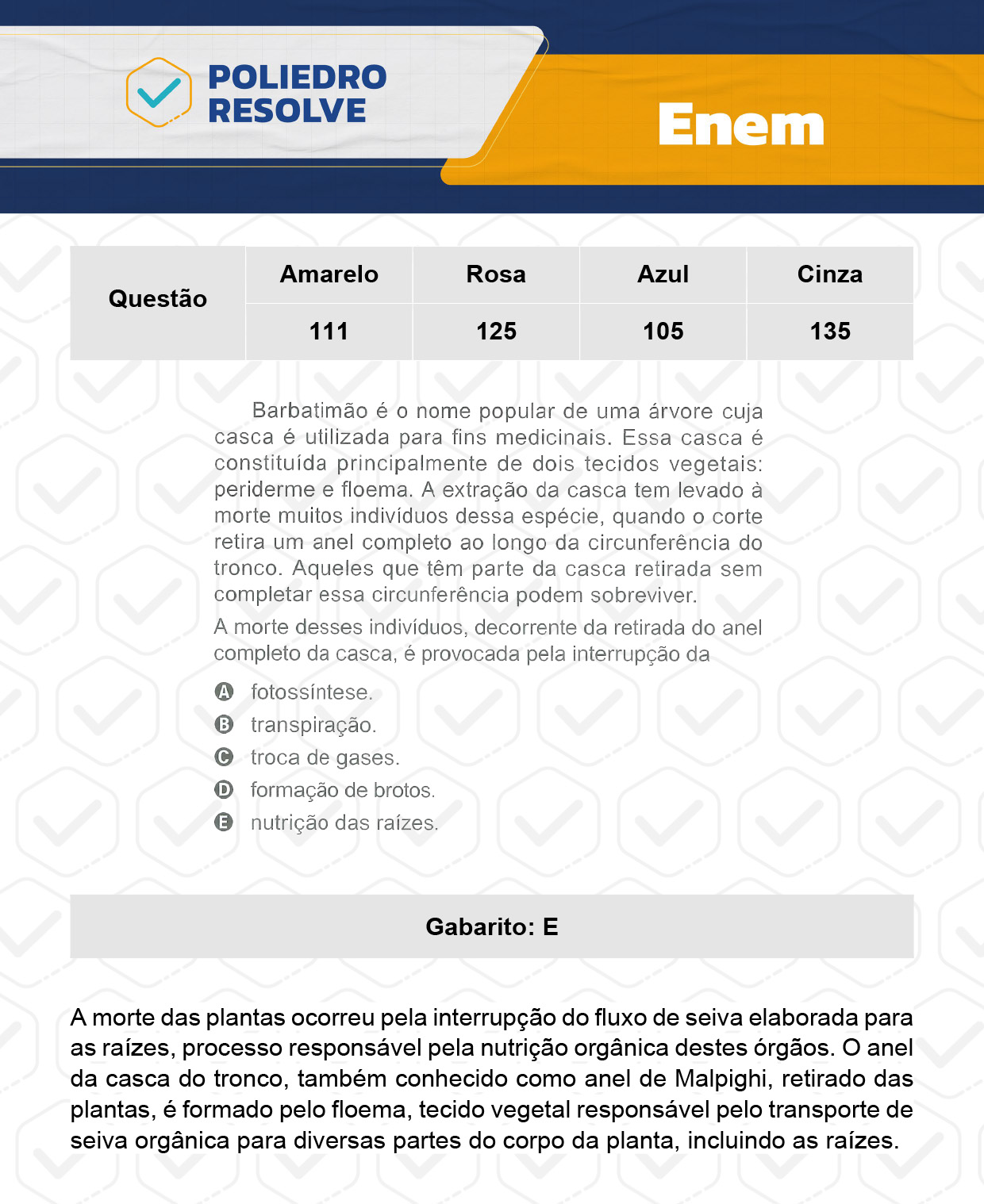 Questão 15 - ENEM 2023 - 12/11 - 2º Dia - Prova Azul - Enem 2023