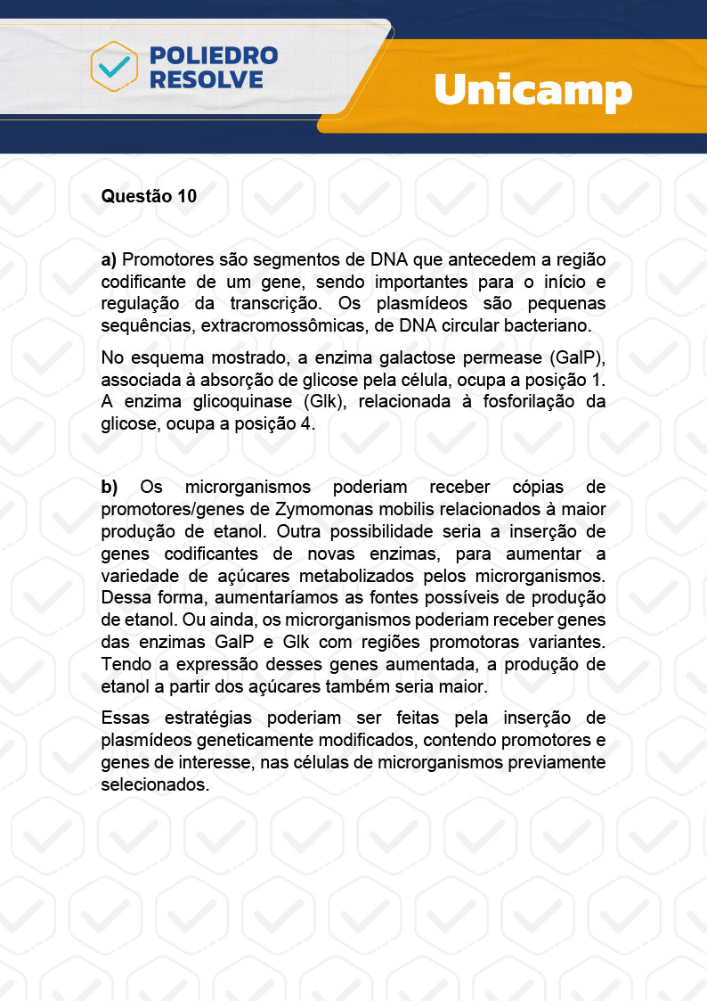Dissertativa 10 - 2ª Fase - 2º Dia - Unicamp 2024
