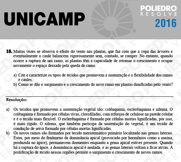 Dissertativa 18 - 2ª Fase 3º Dia - Unicamp 2016
