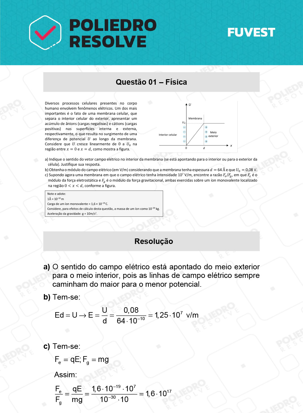 Dissertativa 1 - 2ª Fase - 2º Dia - Fuvest 2022