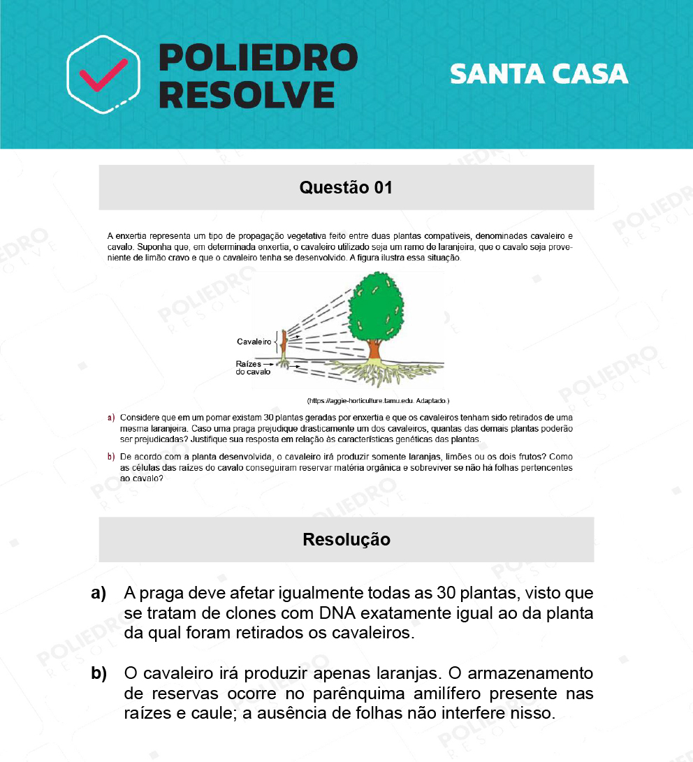 Dissertativa 1 - 2º Dia - Santa Casa 2022