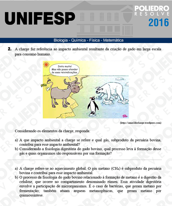Dissertativa 2 - Exatas - Unifesp 2016