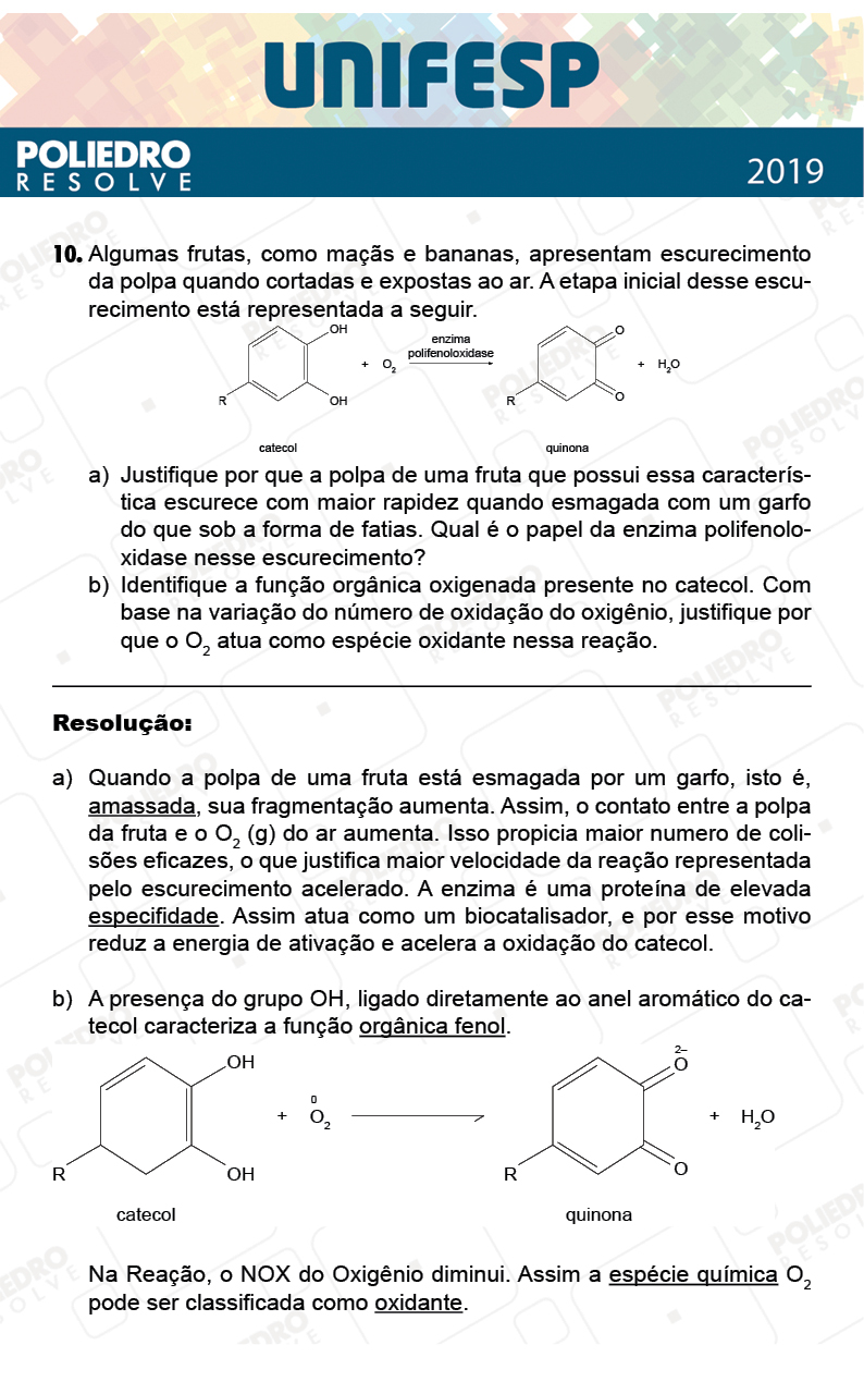 Dissertativa 10 - Fase única - 2º Dia - Unifesp 2019