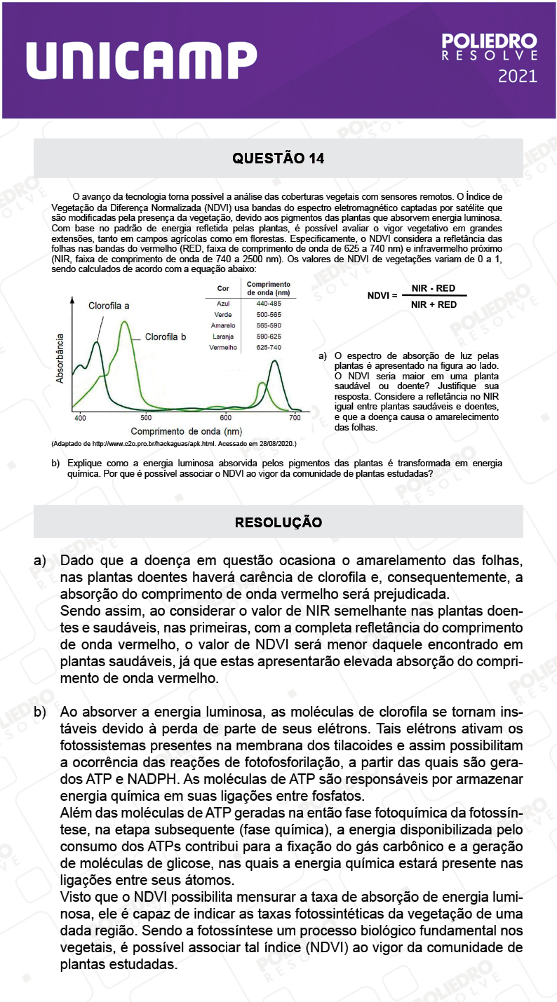 Dissertativa 14 - 2ª Fase - 2º Dia - Unicamp 2021