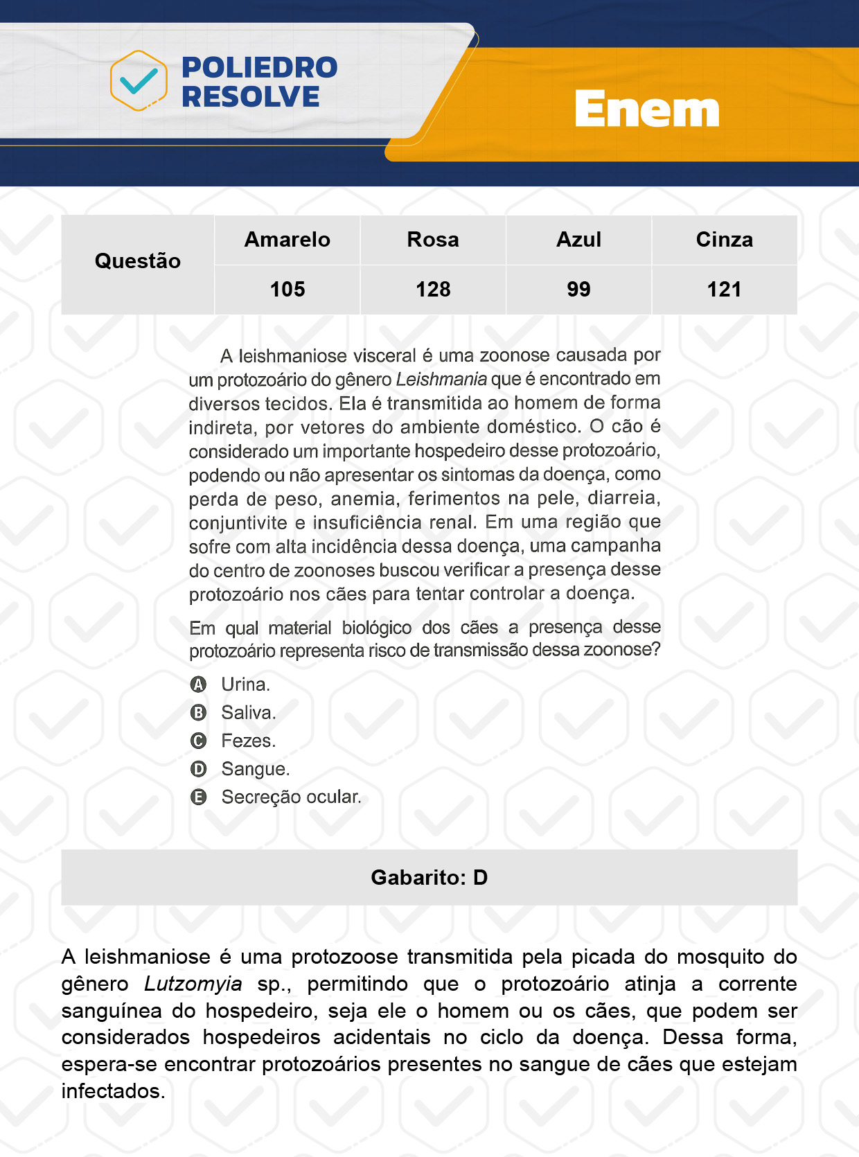 Questão 105 - Prova Amarela - Enem 2023