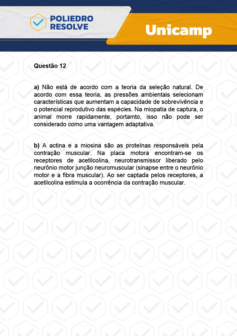 Dissertativa 12 - 2ª Fase - 2º Dia - Unicamp 2024