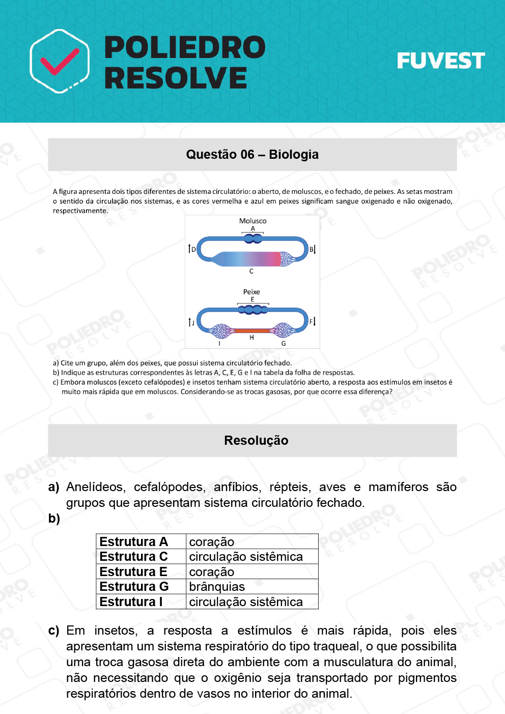 Dissertativa 6 - 2ª Fase - 2º Dia - Fuvest 2022