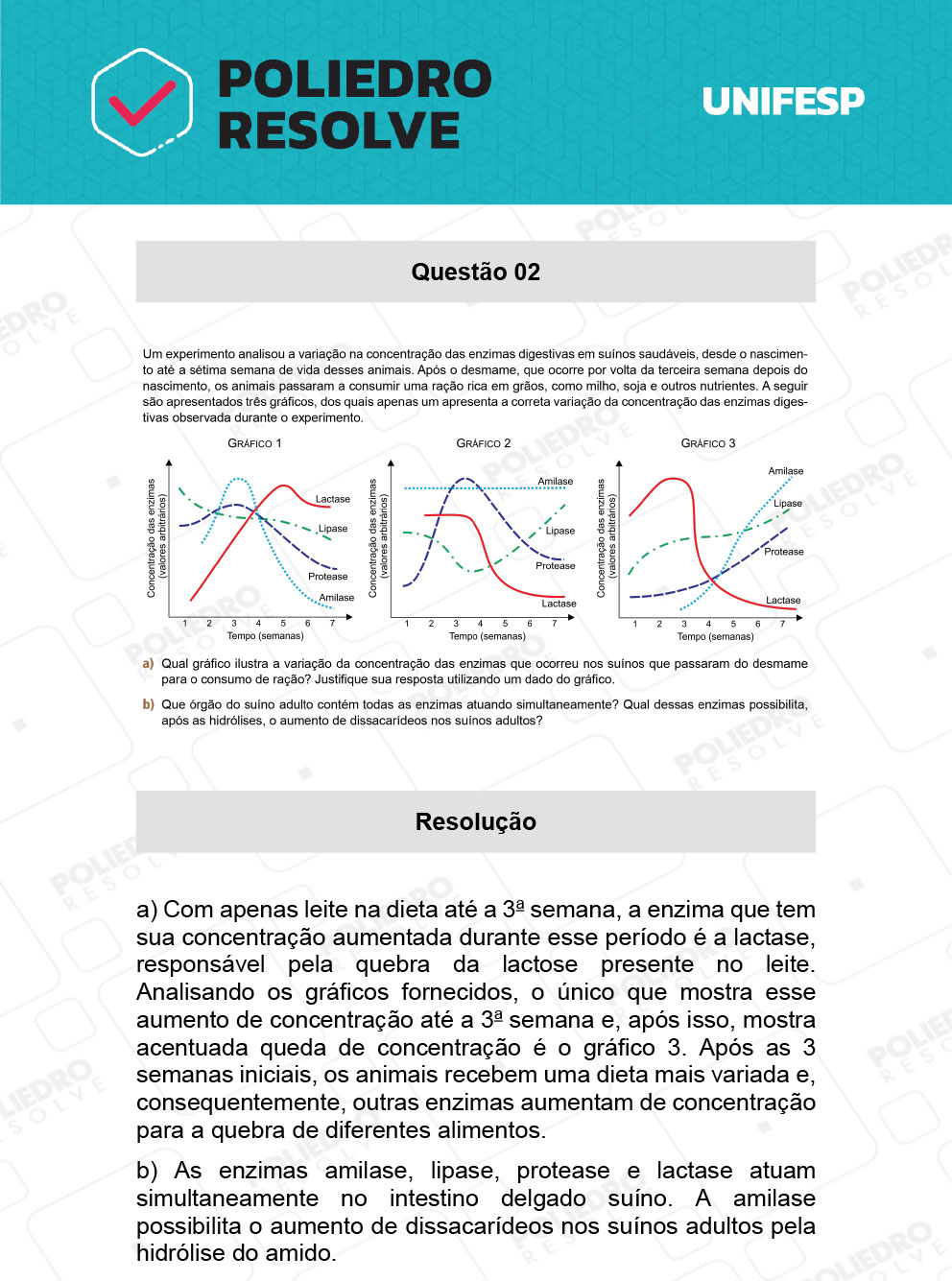 Dissertativa 1 - Fase única - 2º Dia - Unifesp 2021