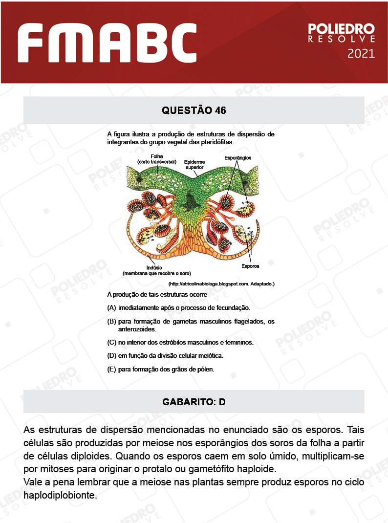 Questão 46 - Fase única - FMABC 2021