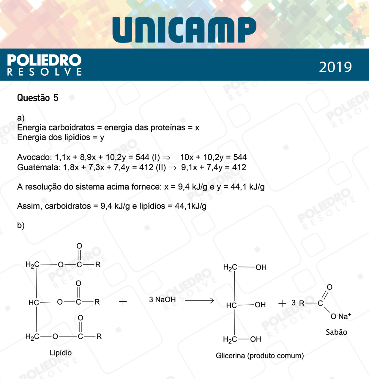 Dissertativa 5 - 2ª Fase - 3º Dia - Unicamp 2019