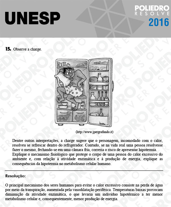 Dissertativa 15 - 2ª Fase - Unesp 2016