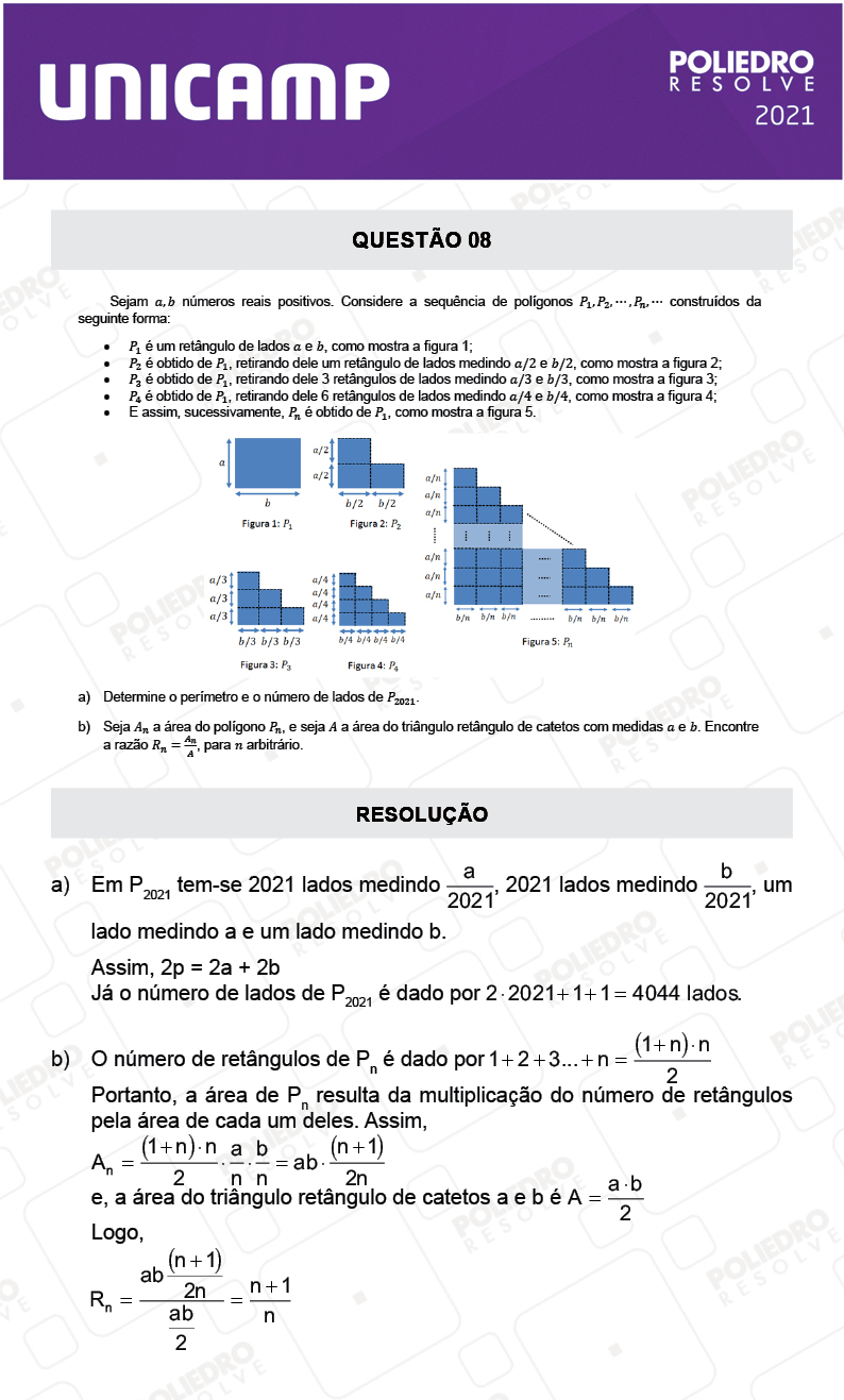 Dissertativa 8 - 2ª Fase - 2º Dia - Unicamp 2021