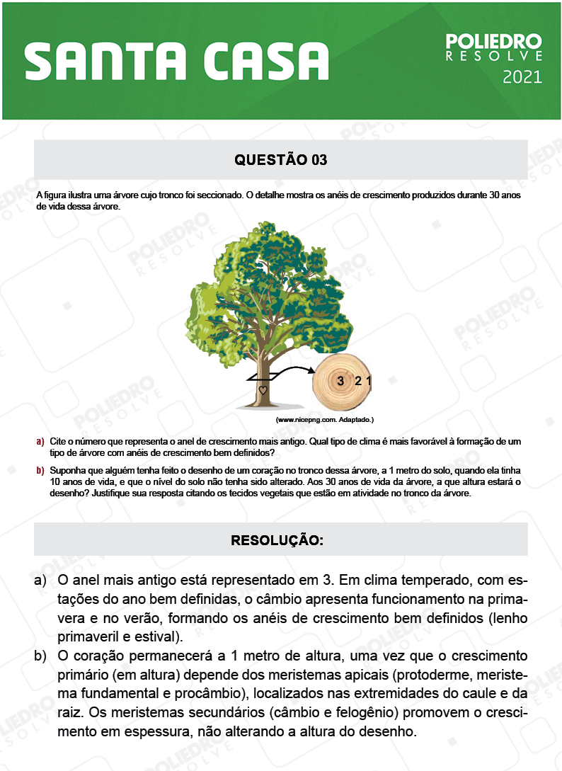 Dissertativa 3 - 2º Dia - Santa Casa 2021