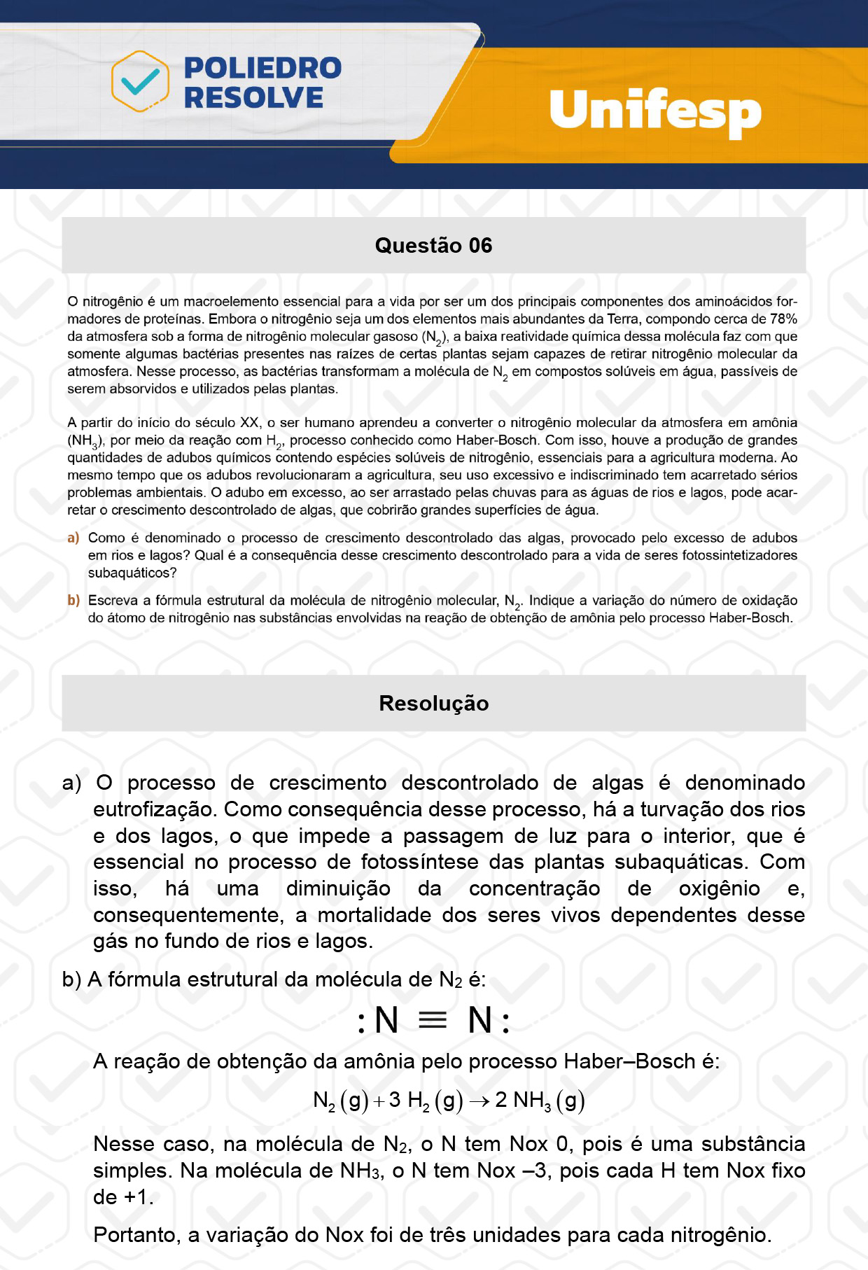Dissertativa 6 - 2º Dia - Unifesp 2024