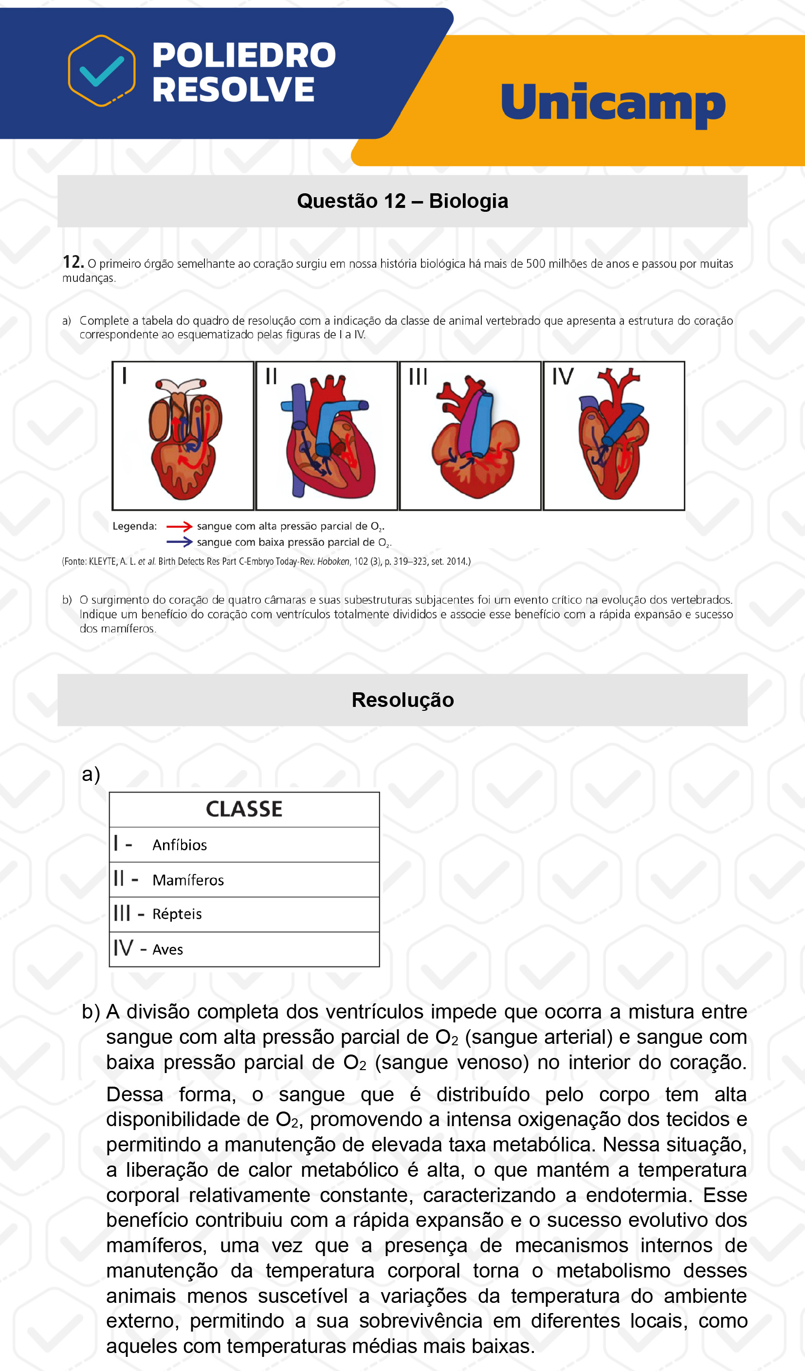 Dissertativa 12 - 2ª Fase - 2º Dia - Unicamp 2023