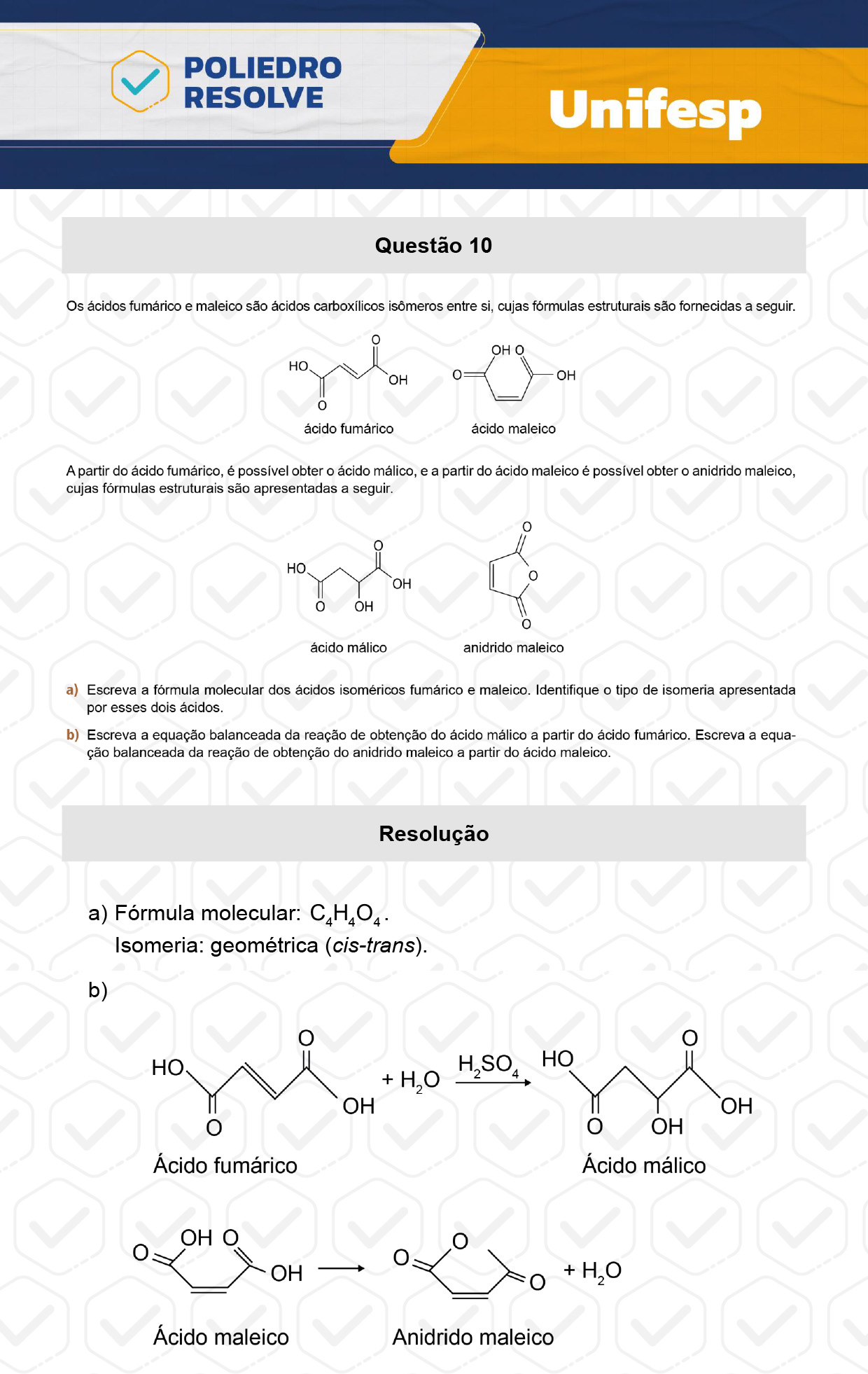 Dissertativa 10 - 2º Dia - Unifesp 2024