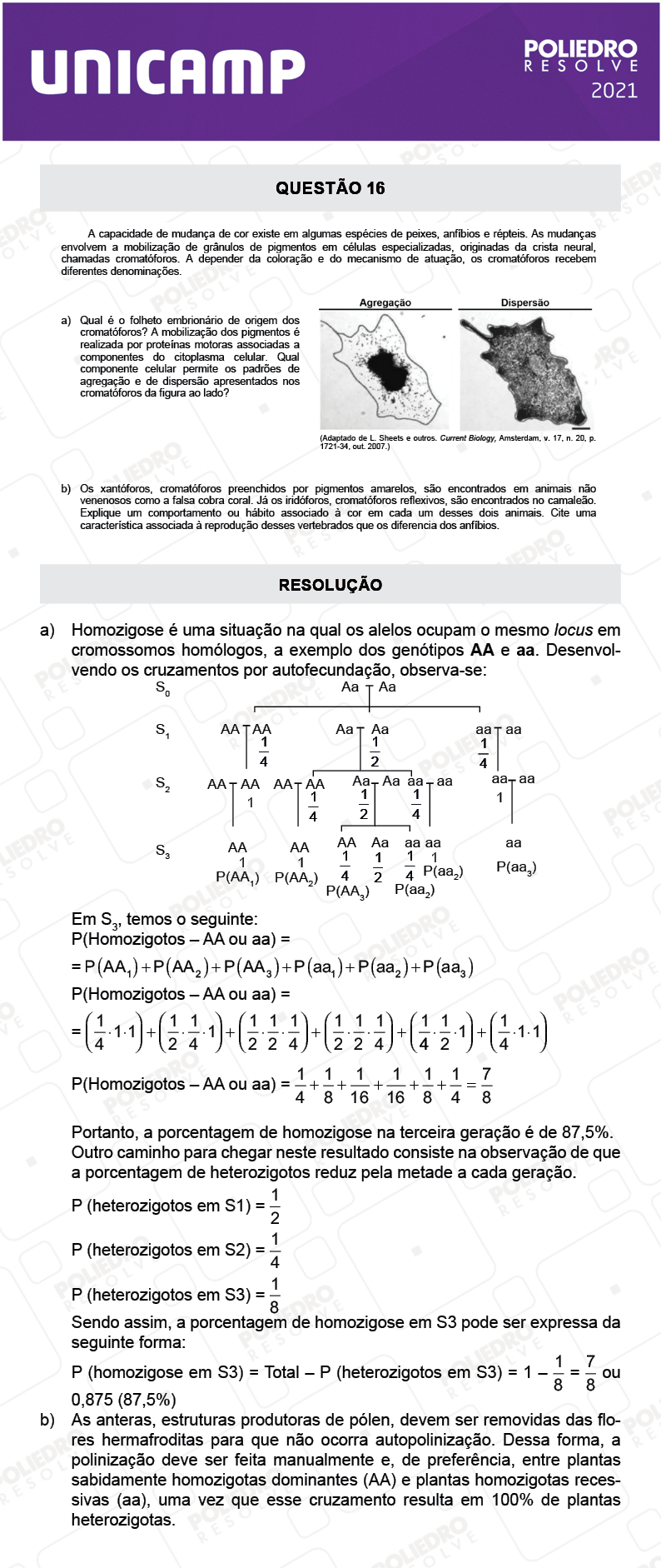 Dissertativa 16 - 2ª Fase - 2º Dia - Unicamp 2021