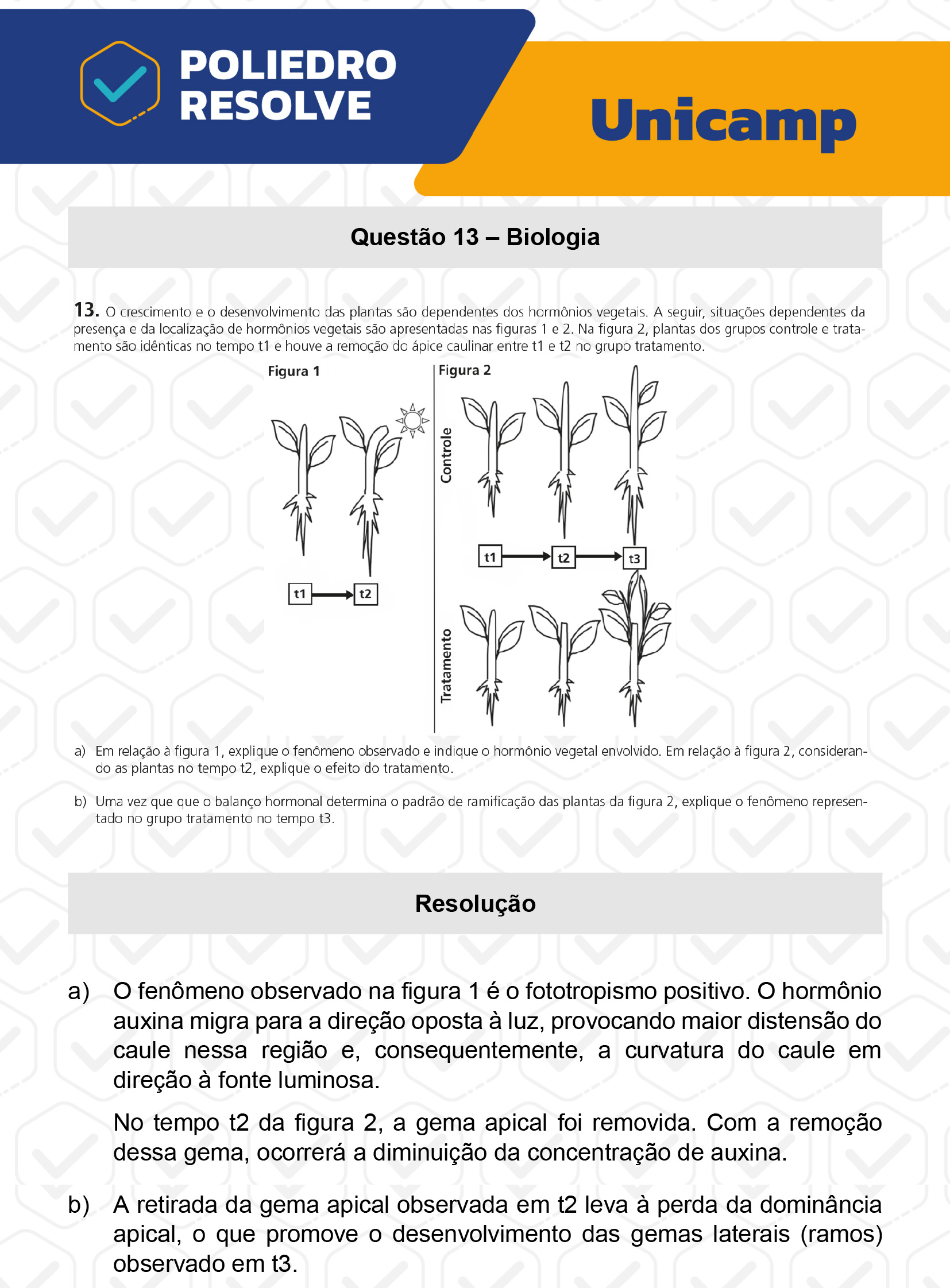Dissertativa 13 - 2ª Fase - 2º Dia - Unicamp 2023