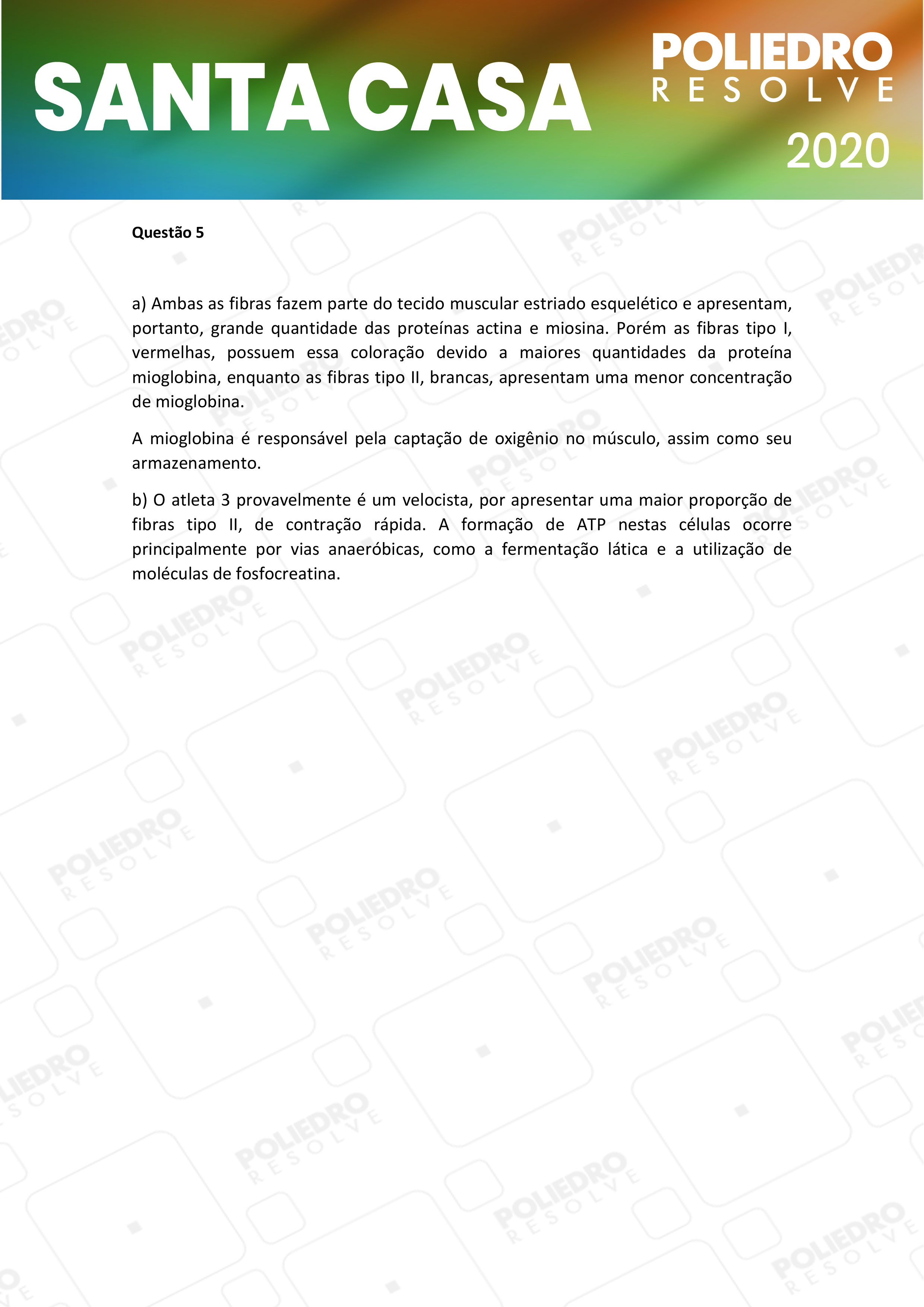 Dissertativa 5 - 1º Dia - Santa Casa 2020