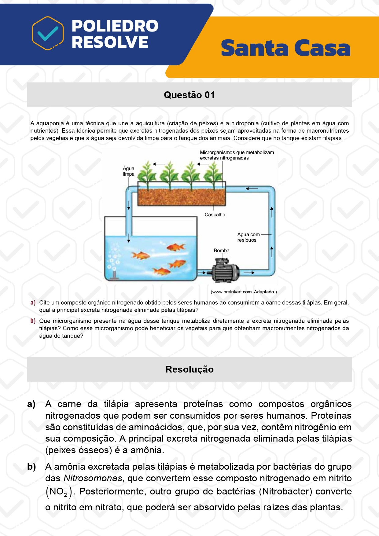 Dissertativa 1 - 2º Dia - Santa Casa 2023