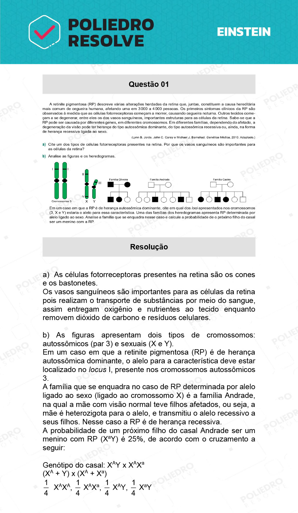 Dissertativa 1 - Fase única - Einstein 2022