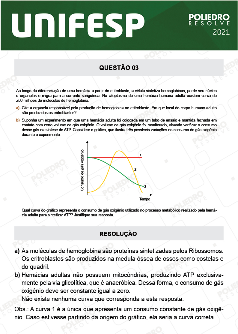 Dissertativa 3 - Fase única - 2º Dia - Unifesp 2021