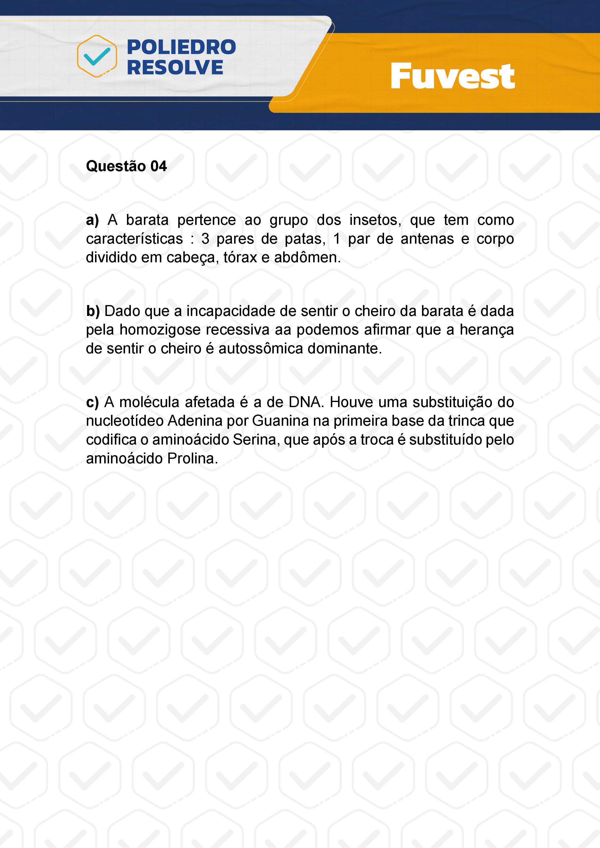 Dissertativa 4 - 2ª Fase - 2º Dia - Fuvest 2024