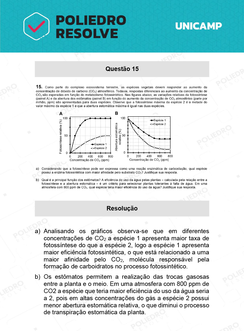 Dissertativa 15 - 2ª Fase - 2º Dia - Unicamp 2022