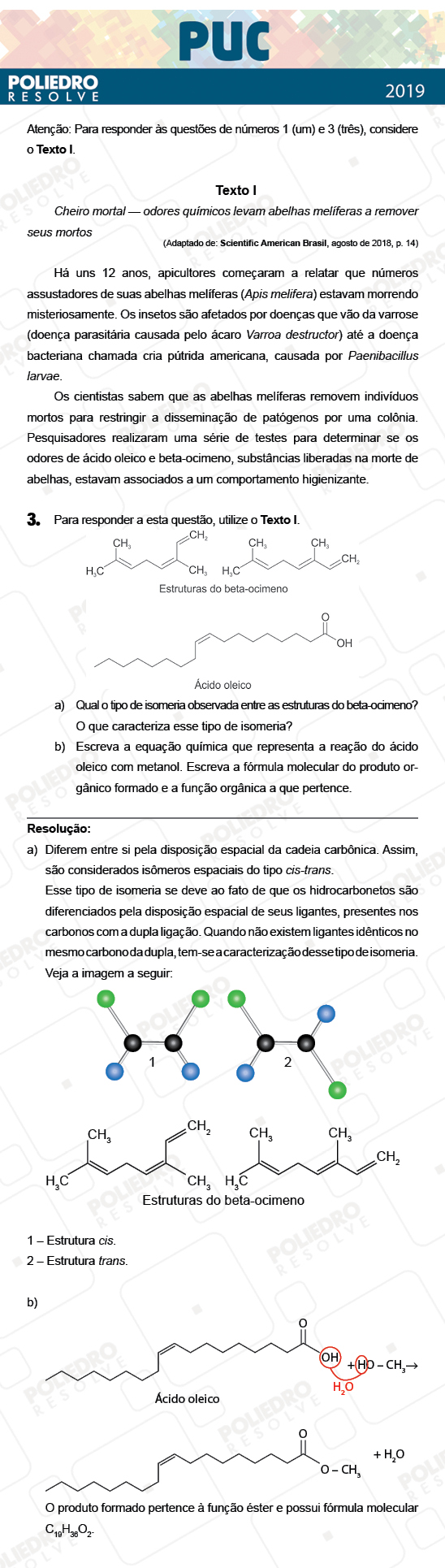 Dissertativa 3 - 2ª Fase - PUC Campinas 2019