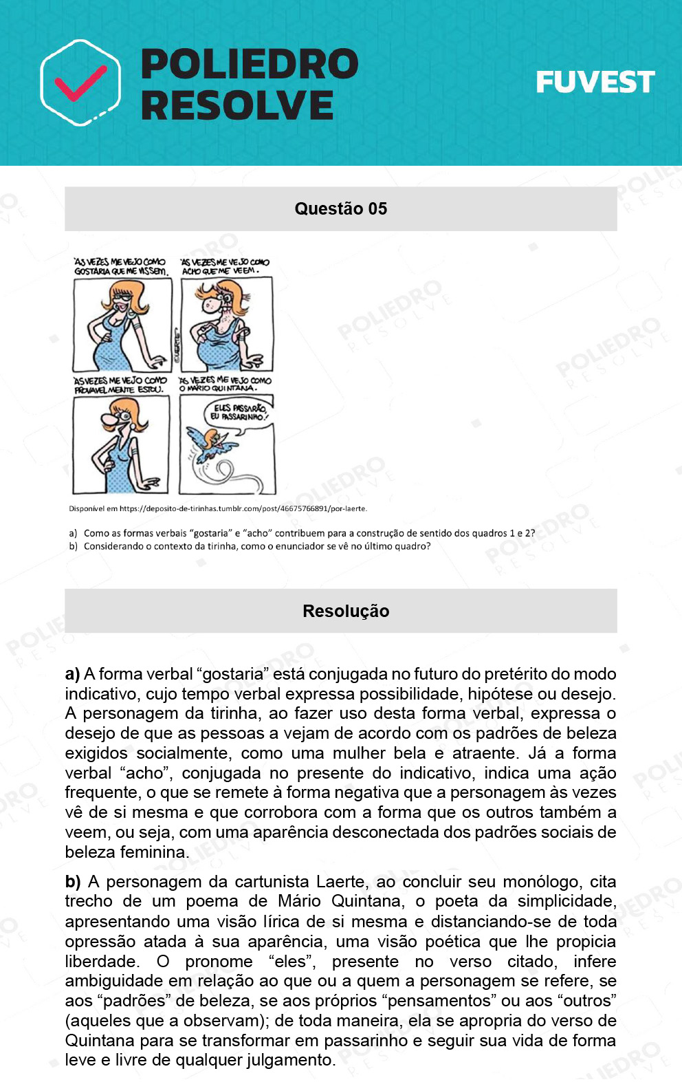 Dissertativa 5 - 2ª Fase - 1º Dia - Fuvest 2022