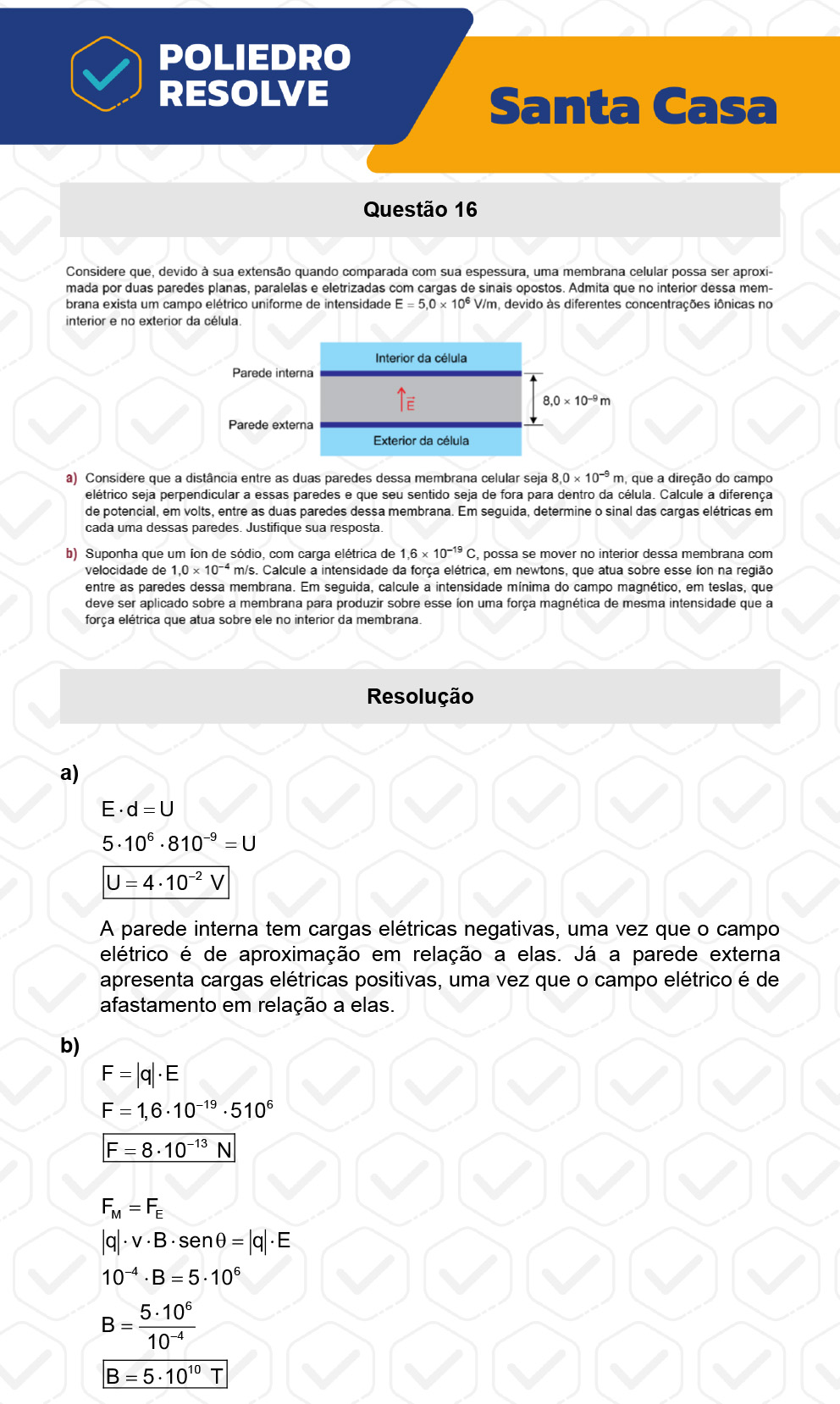 Dissertativa 16 - 2º Dia - Santa Casa 2023