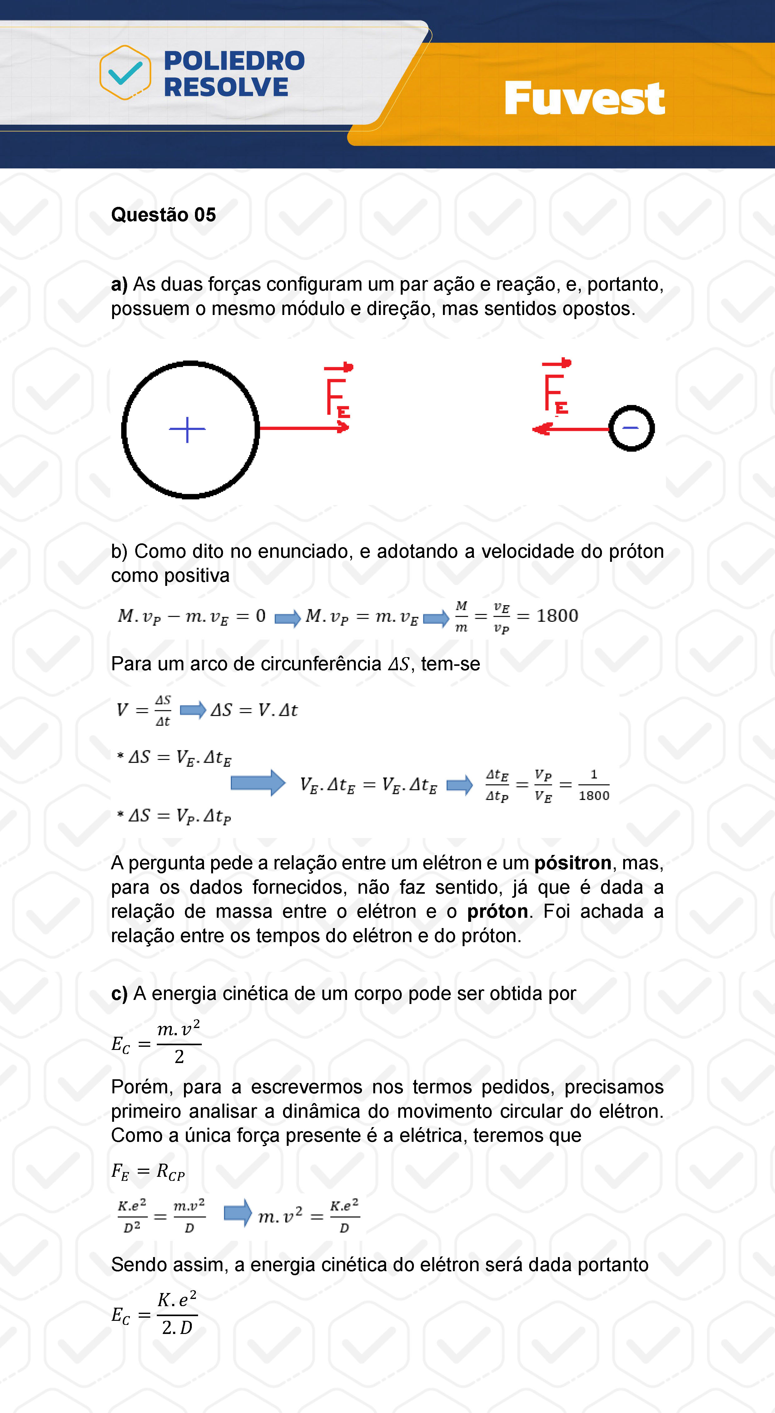 Dissertativa 5 - 2ª Fase - 2º Dia - Fuvest 2024