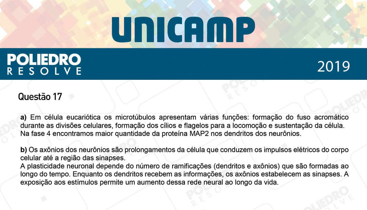 Dissertativa 17 - 2ª Fase - 3º Dia - Unicamp 2019