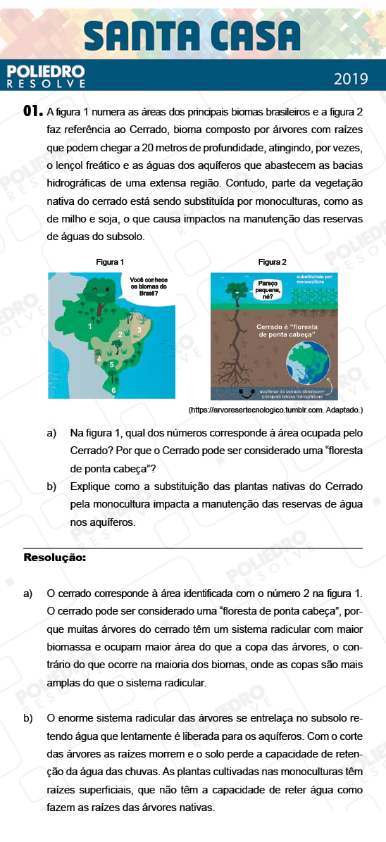 Dissertativa 1 - 1º Dia - Dissertativas - Santa Casa 2019