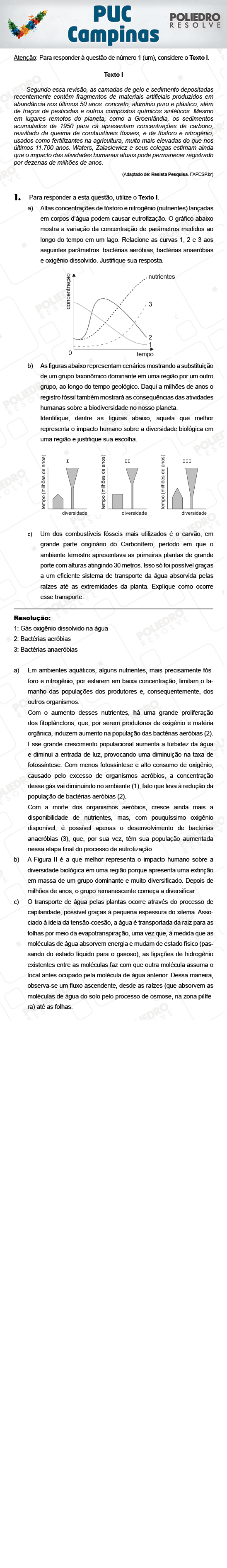 Dissertativa 1 - 2ª Fase - PUC Campinas 2018
