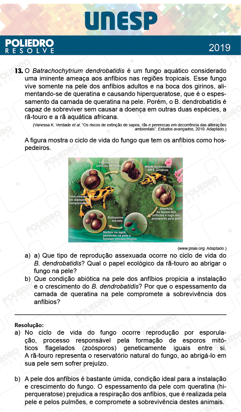 Dissertativa 13 - 2ª Fase - 1º Dia - Unesp 2019